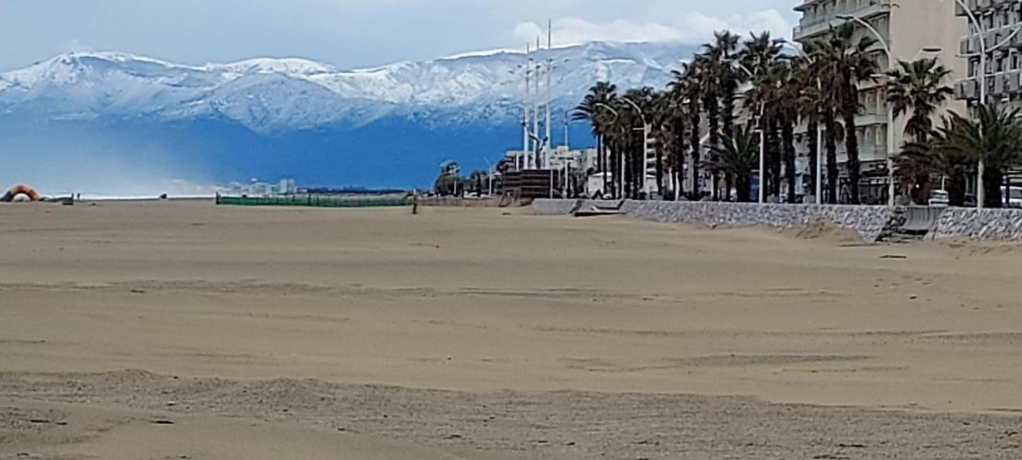Chambres D'Hotes Un Ete Sans Fin A 50 M De La Plage A Canet Plage Eksteriør bilde
